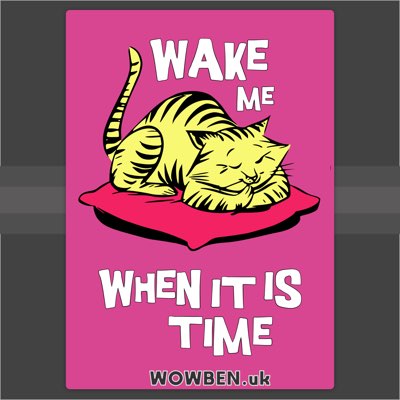 Cat• Wowben.uk